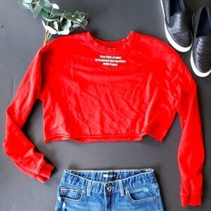 Zara Red Cropped Sweater